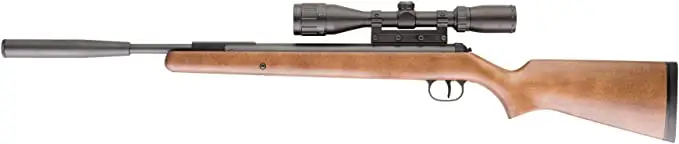 Diana RWS Model 34 Meisterschütze Pro Compact Break Barrel .177 Caliber Pellet Gun Air Rifle with Hardwood Stock