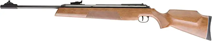Umarex Diana RWS Model 54 Air King Floating Action Hardwood Stock Pellet Gun Air Rifle